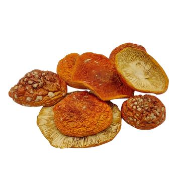 Шляпки мухомору червоного (Amanita muscaria) сушені, 1 сорт - 1 грам МХМЧ-01С24 &mdash; Dikoros