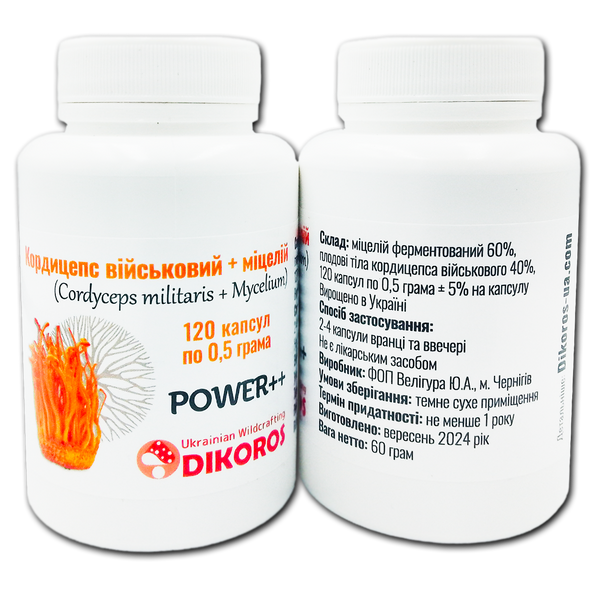 Microdosing Power++ Cordyceps military + mycelium (Cordyceps militaris) 120 capsules of 0.5 grams ККМ-1205 &mdash; Dikoros