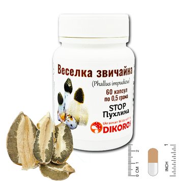 Гриб Веселка обыкновенная (Phallus impudicus) Антиопухоль 60 капсул по 0,5 г ГВ-6005 &mdash; Dikoros