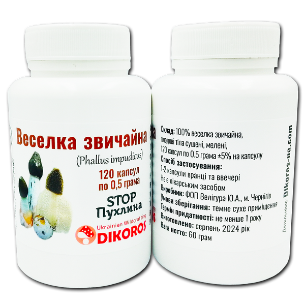 Common rainbow mushroom (Phallus impudicus) Antitumor 120 capsules of 0.5 grams ГВ-1205 &mdash; Dikoros
