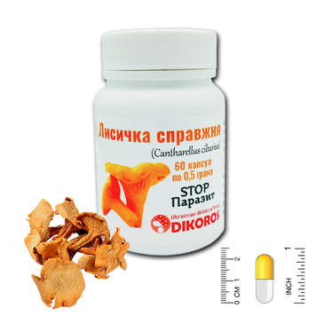 Chanterelle (Cantharellus cibarius) Stop Parasite 60 capsules of 0.5 grams ГЛ-6005 &mdash; Dikoros