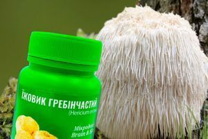 Гриб левова грива і &laquo;ментальний ресурс&raquo;: чому їх співставляють і для чого?