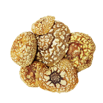 Dried, ground caps of the royal fly agaric (Amanita regalis) МХМКС-1СМ24 &mdash; Dikoros