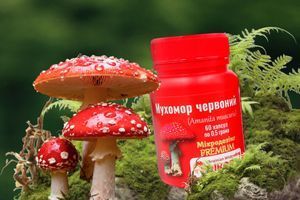 Чому приймаючи червоні мухомори мікродозинг, не завжди відчувається &laquo;ефект&raquo;?