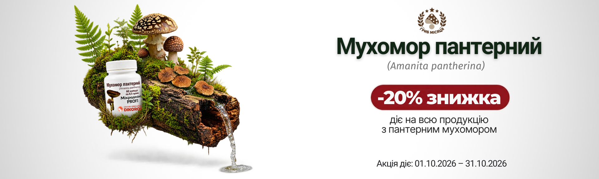 Гриб місяця