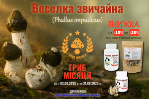 Внимание! 📢 Запускаем акцию "Гриб луны"! ✨🍄