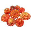 Шляпки мухомору червоного (Amanita muscaria) сушені, сорт Еліт - 1 грам МХМЧ-01ЕС &mdash; Dikoros