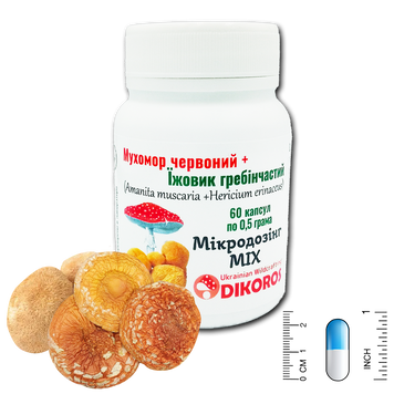 Микродозинг MIX Мухомора красного (Amanita muscaria) и Ежовика гребенчатого (Hericium erinaceus) 60 капсул по 0,5 г МІХ-6005 &mdash; Dikoros