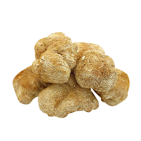 Sea urchin (Hericium urchin) dried - 1 gram ЕГ-01С &mdash; Dikoros