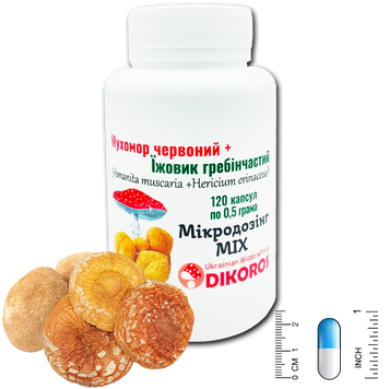 Microdosing mix of Amanita muscaria and Hericium erinaceus 120 capsules of 0.5 grams each МІХ-1205 &mdash; Dikoros
