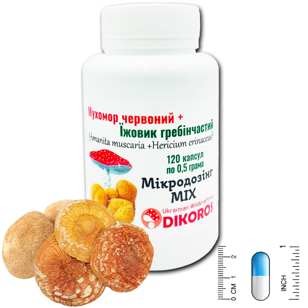 Microdosing mix of Amanita muscaria and Hericium erinaceus 120 capsules of 0.5 grams each МІХ-1205 &mdash; Dikoros