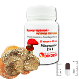 Red fly agaric + panther fly agaric 2in1 60 capsules of 0.5 grams МХМЧП-600526 &mdash; Dikoros