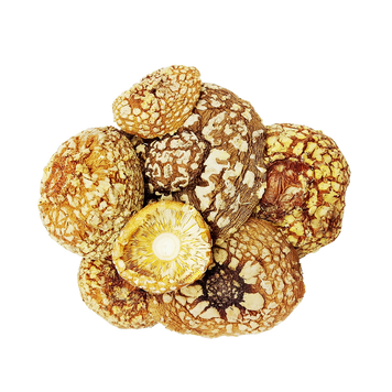Hats for the Royal fly agaric (Aman&iacute;ta reg&aacute;lis) dried МХМКС-50С &mdash; Dikoros