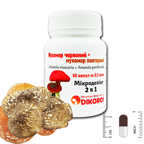 Red fly agaric + panther fly agaric 2in1 60 capsules of 0.5 grams МХМЧП-600526 &mdash; Dikoros