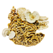 Траметес різнобарвний(Trametes versicolor) сушений - 100 грам ТР-01С фото 3 &mdash; Dikoros