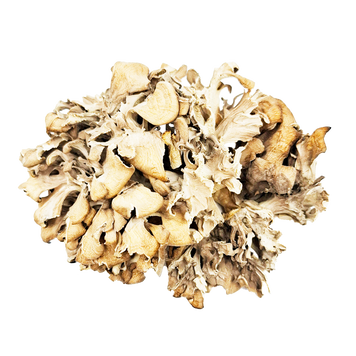 Maitake (Grifola frondosa), dried - 1 gram СМЕ-01 &mdash; Dikoros