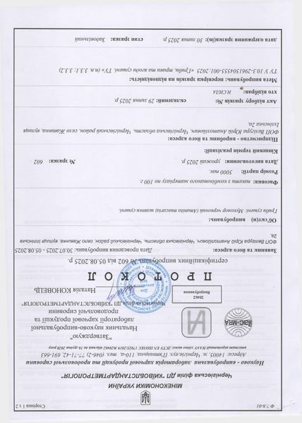 Шляпки мухомору червоного (Amanita muscaria) сушені, 2сорт - 100 грам МХМЧ-102С &mdash; Dikoros