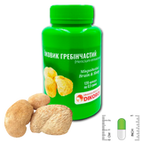 Мікродозінг Brain & Sleep Їжовик гребінчастий (Hericium erinaceus) 120 капсул по 0,5 грама ЕГ-1205 &mdash; Dikoros