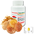 Микродозинг ALL Inclusive Мухомор красный + Ежовик гребенчатый + Кордицепс военный 120 капсул по 0,5гр МАІ-1205 &mdash; Dikoros