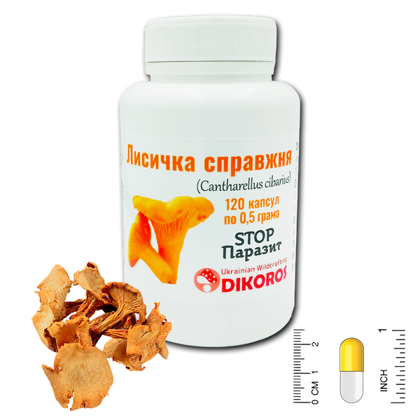 Лисичка настоящая (Cantharellus cibarius) Stop Паразит 120 капсул по 0,5 г ГЛ-120525 &mdash; Dikoros