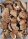 Гриб-зонтик великий (Macrolepiota procera) сушений - 100 грам ГЗ-01С фото 2 &mdash; Dikoros