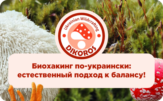 купить микродозинг грибов от Дикорос