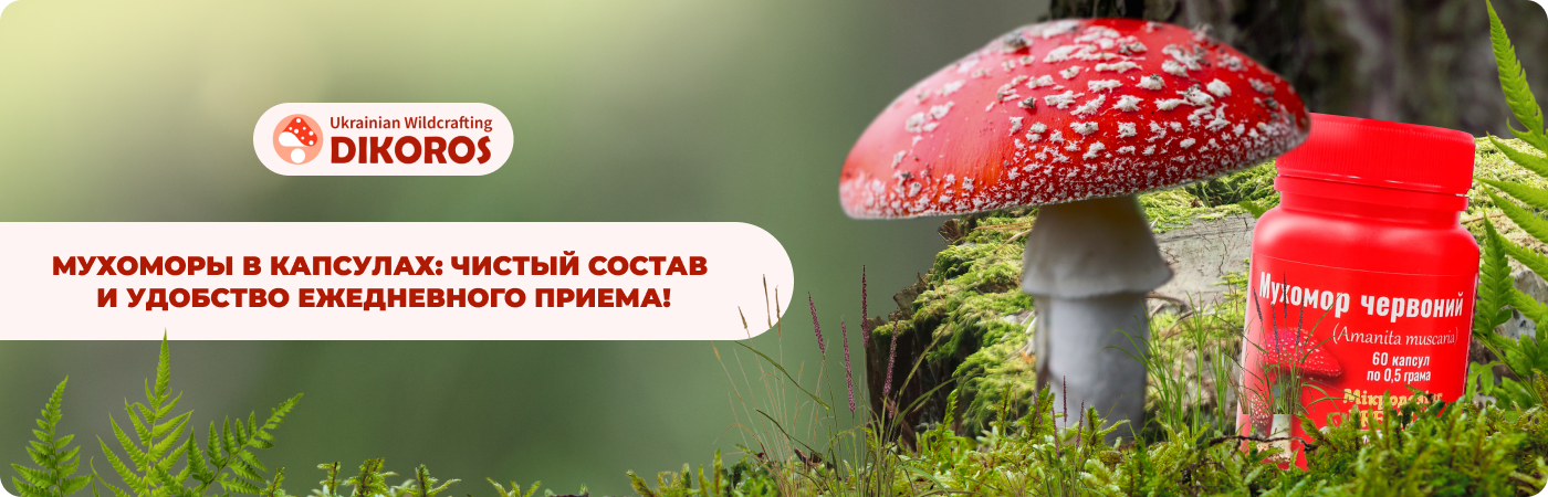 купить красный мухомор в капсулах в интернет-магазине Dikoros