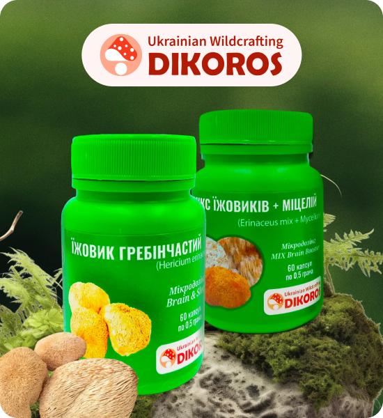 мікродозінг їжовика гребінчастого від Dikoros купити