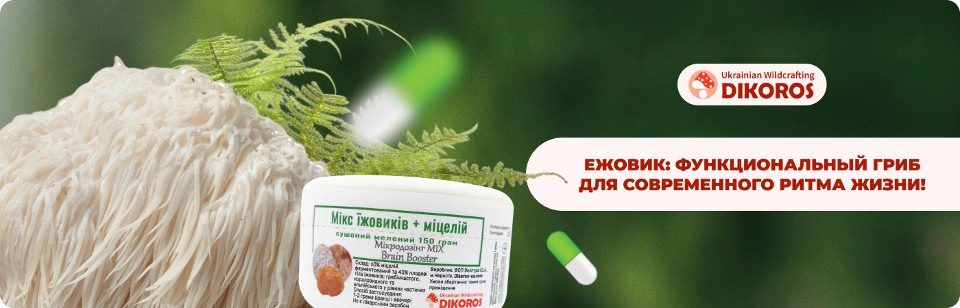 гриб ежевик купить в интернет-магазине Дикорос