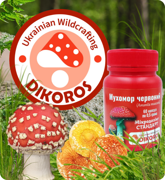 мікродозінг червоних мухоморів купити в Dikoros