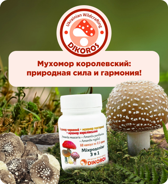 купить королевский мухомор в Dikoros UA