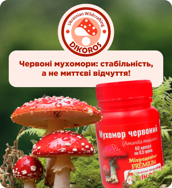 купити червоні мухомори від Dikoros