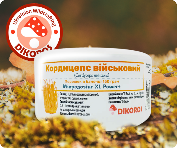 Мікродозинг кордицепса в порошку купити в Dikoros