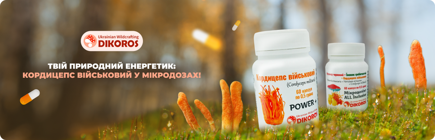 мікродозинг кордицепс в капсулах та порошку купити у інтернет-магазині Dikoros
