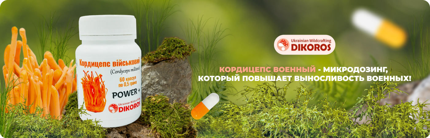 Купить микродозинг кордицепса военного в интернет-магазине Dikoros