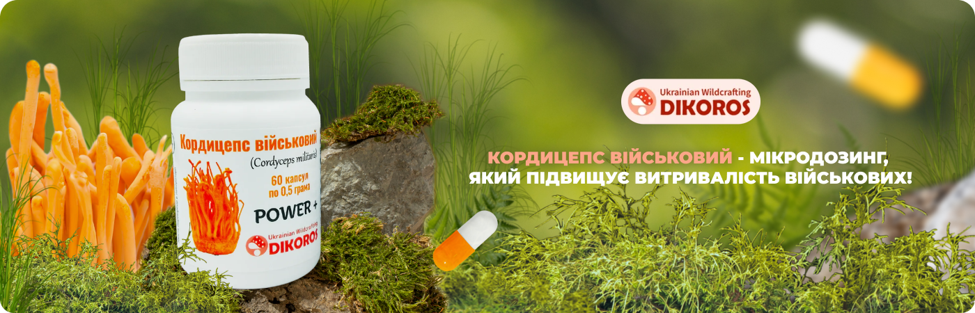 Купити мікродозинг кордицепса військового в інтернет-магазині Dikoros