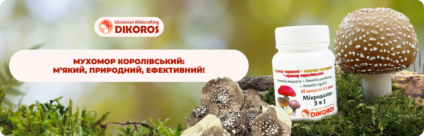 Королівський мухомор мікродозування купити в інтернет-магазині DIkoros