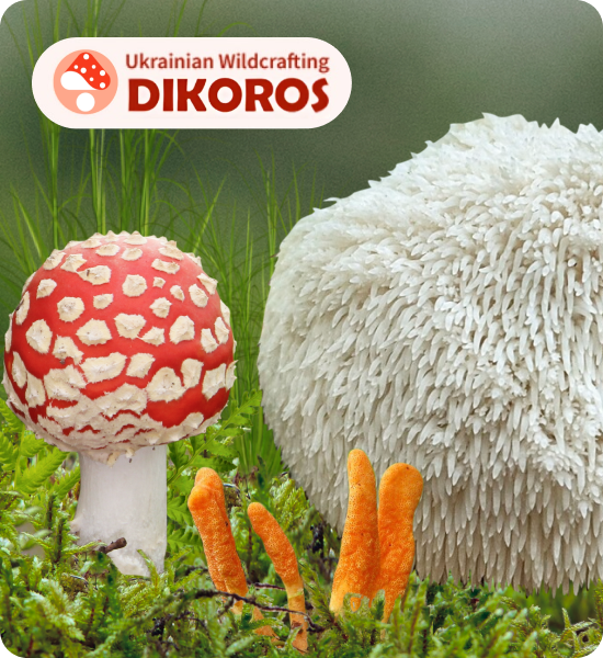 качественный микродозинг от производителя Dikoros купить