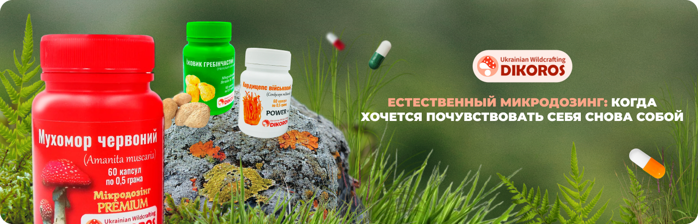 разнообразные грибы в микродозировке купить в интернет-магазине DIkoros