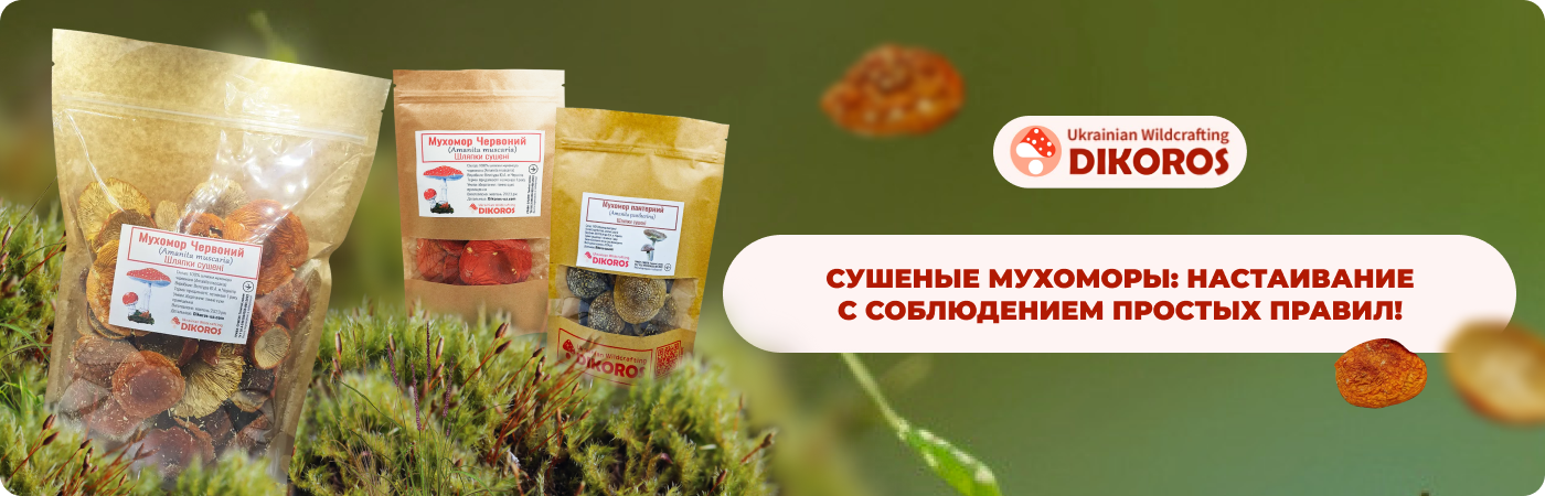 купить сушеный мухомор в интернет-магазине Dikoros