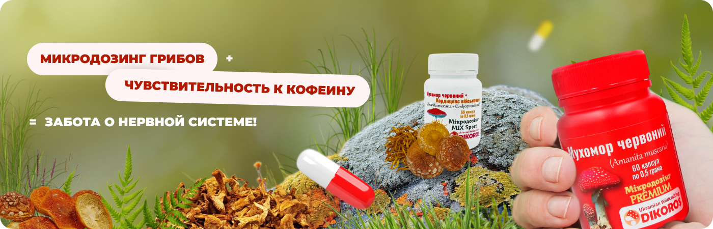 микродозинг грибов купить в ДикоросЮА