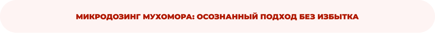 купить красный мухомор в интернет-магазине Дикорос