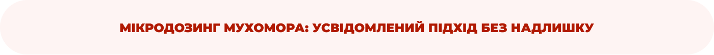 купити червоний мухомор в інтернет-магазині Дікорос