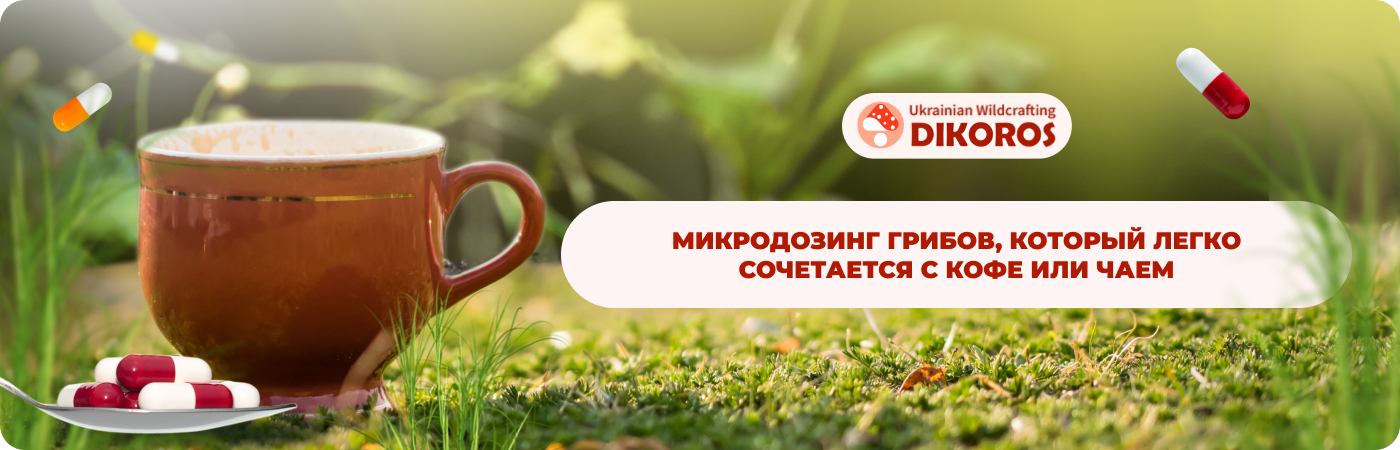 Микродозинг грибов купить в интернет-магазине DIkoros