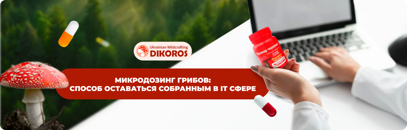 Мухоморы микродозинг купить для IT в интернет-магазине Dikoros