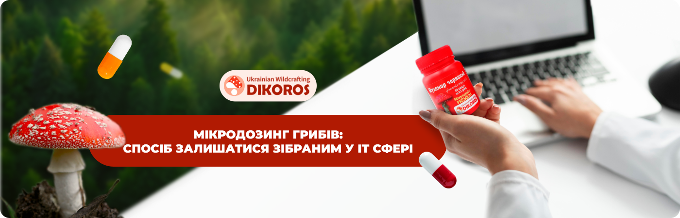 Мухомори мікродозинг купити для IT в інтернет-магазині Dikoros