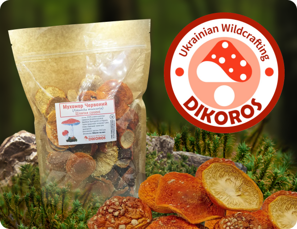 Шляпки червоних мухоморів купити в Dikoros