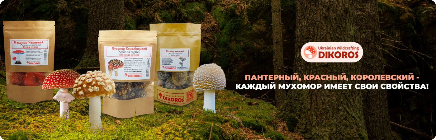 Сушеные мухоморы разных видов купить в интернет-магазине Dikoros