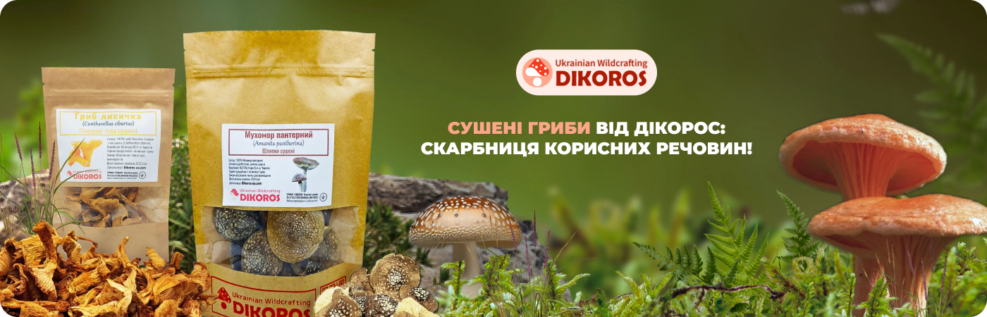 Купити органічні гриби з лісів Чернігівщини на dikoros-ua.com