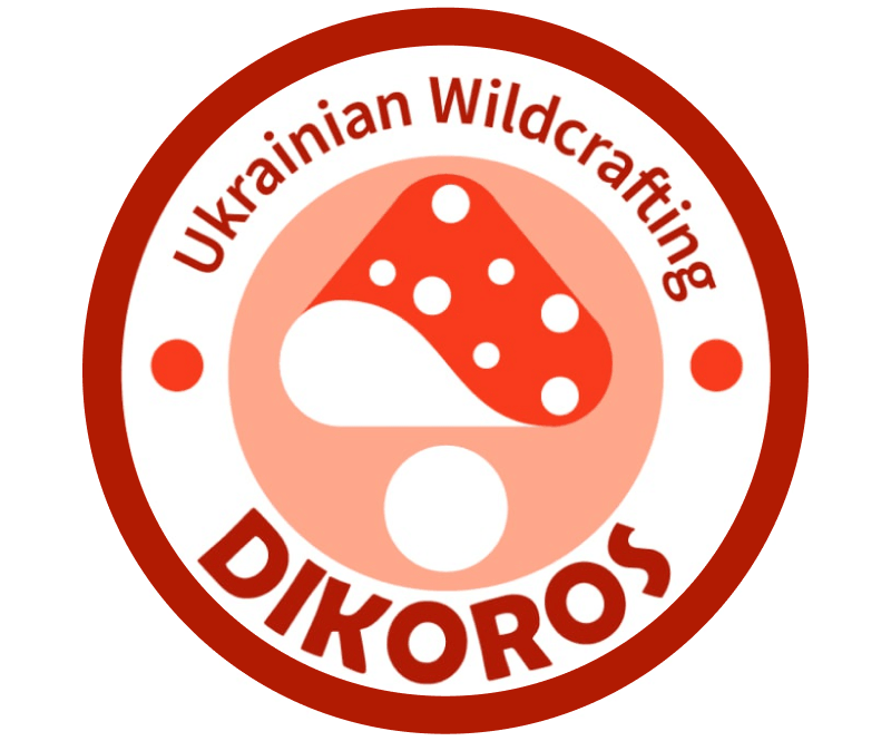 дікорос 